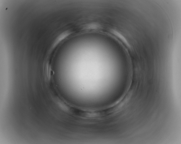 X0000113871219200910011105