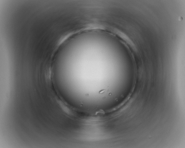 X0000113871220200910011105