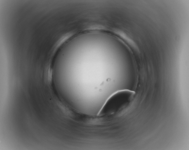 X0000113871221200910011106