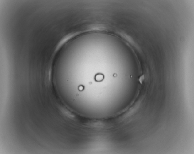 X0000113871222200910011106