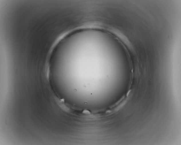 X0000113871224200910011106