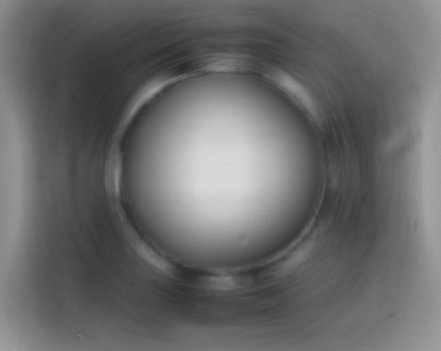 X0000113871227200910011106