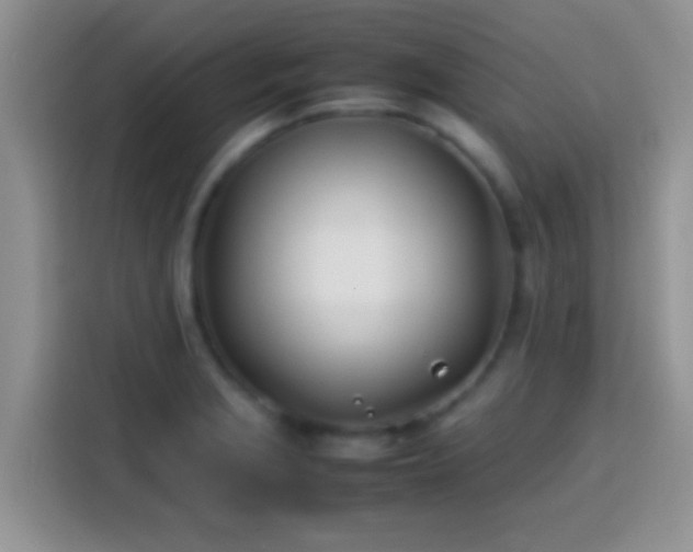 X0000113871229200910011106