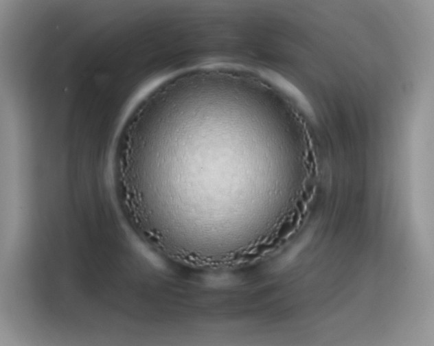 X0000113871231200910011106