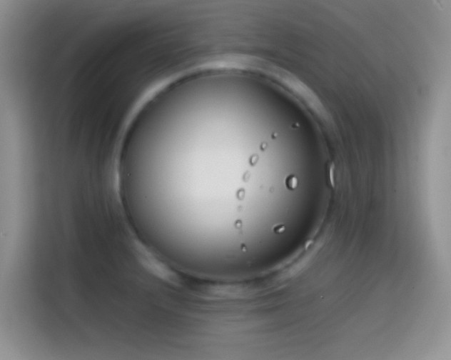 X0000113871232200910011106