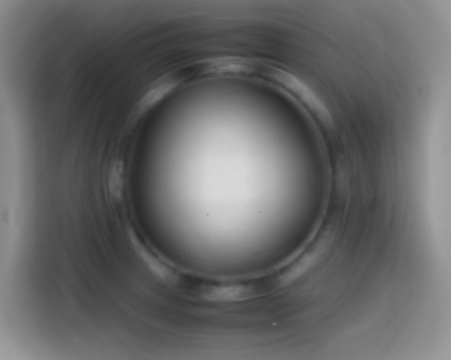 X0000113871233200910011106