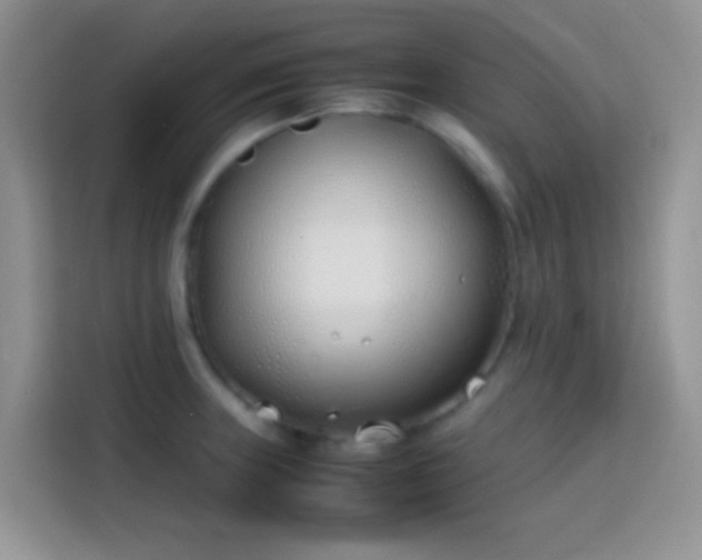 X0000113871235200910011106