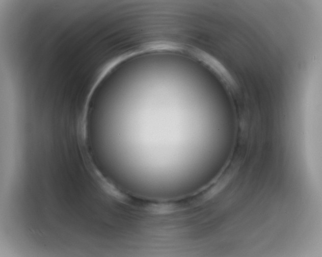 X0000113871236200910011106