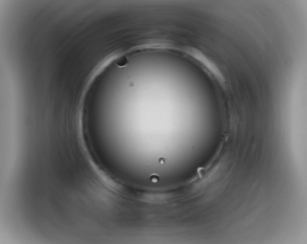 X0000113871237200910011106