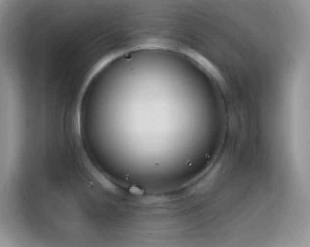 X0000113871238200910011106