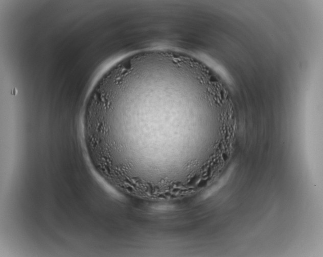 X0000113871239200910011106