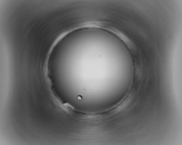 X0000113871240200910011106