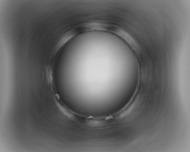 X0000113871241200910011106