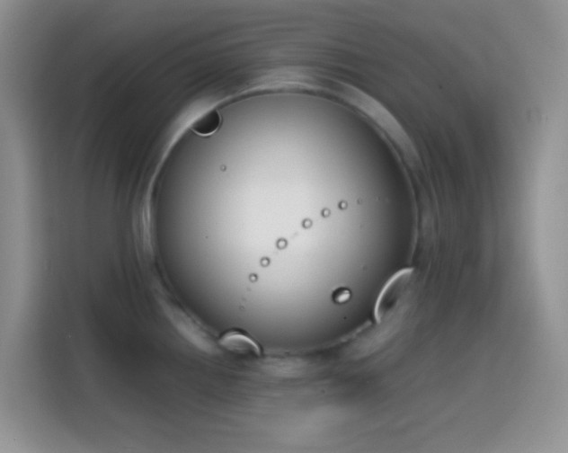 X0000113871242200910011106