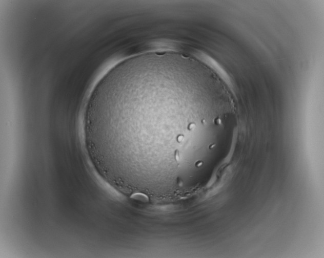 X0000113871243200910011106