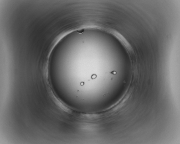 X0000113871244200910011106