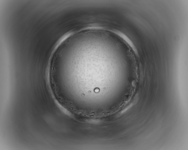 X0000113871245200910011106