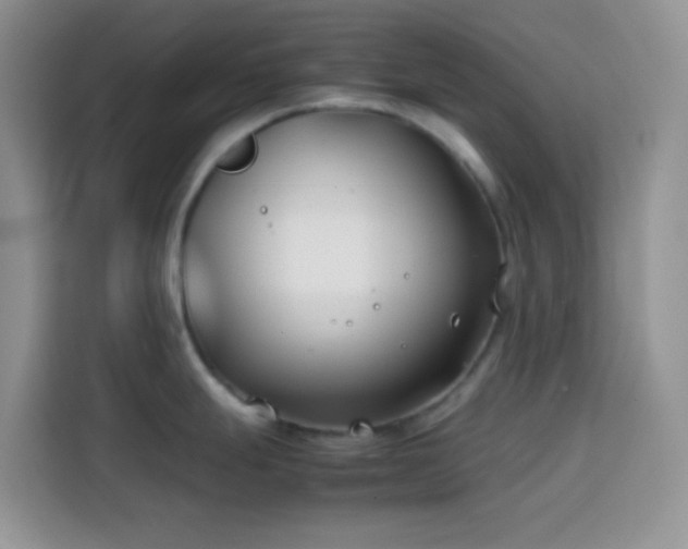 X0000113871247200910011106