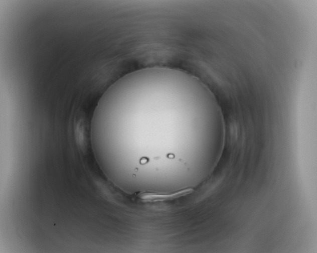 X0000113871250200910011105