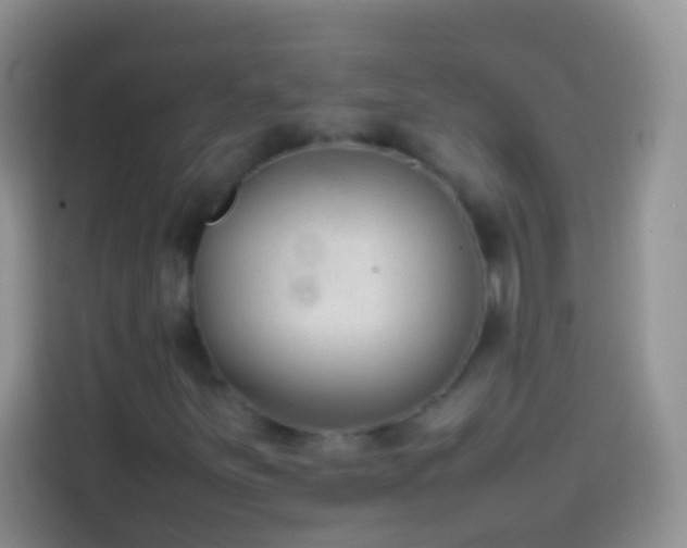 X0000113871251200910011105