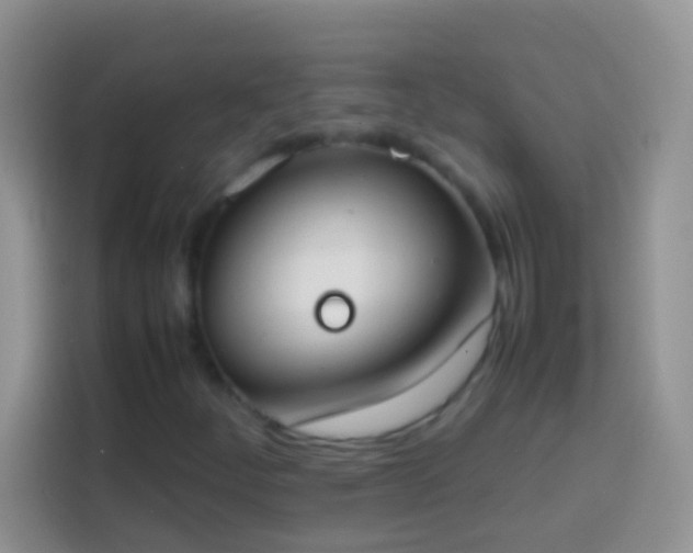 X0000113871252200910011105