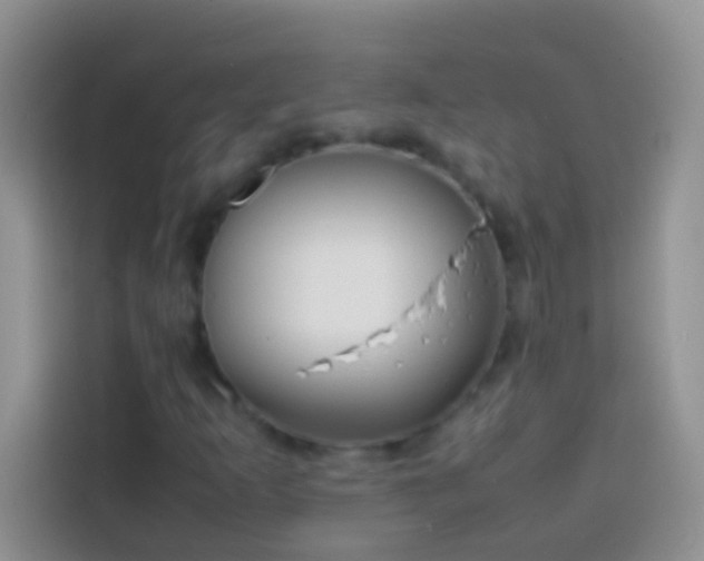 X0000113871253200910011105