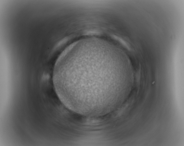 X0000113871254200910011105