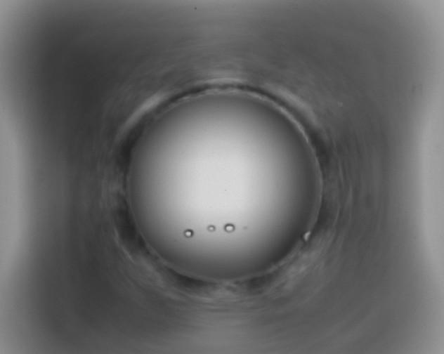 X0000113871255200910011105