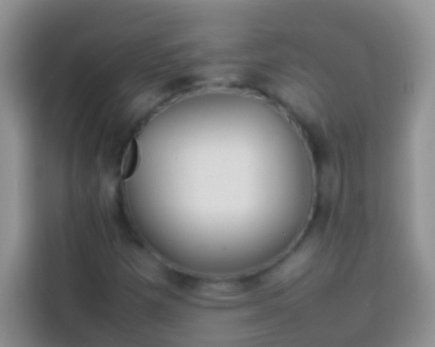 X0000113871257200910011105