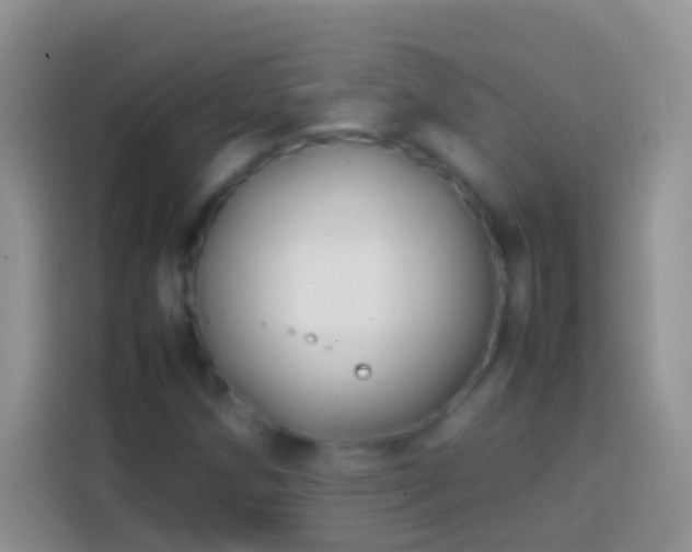 X0000113871258200910011105