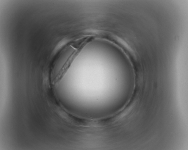 X0000113871259200910011105