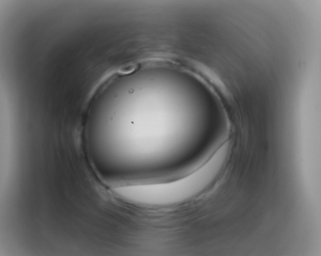 X0000113871260200910011105