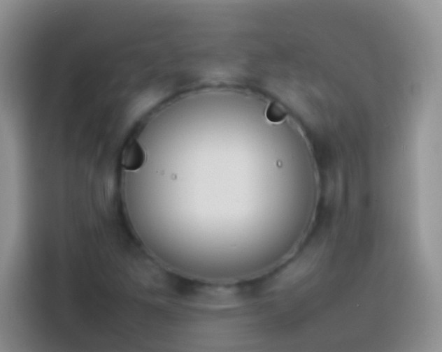 X0000113871261200910011105