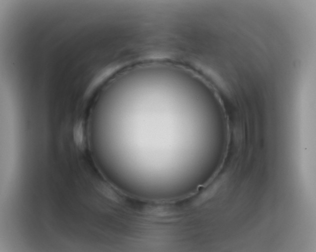 X0000113871262200910011105