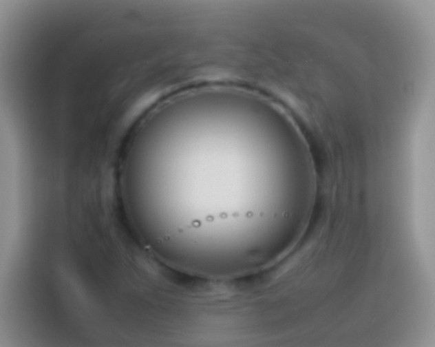 X0000113871263200910011105