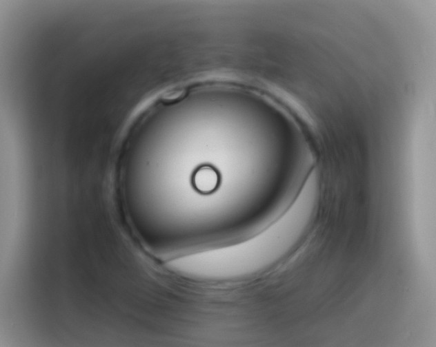 X0000113871264200910011105