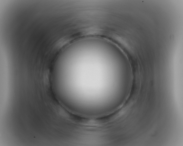 X0000113871265200910011105