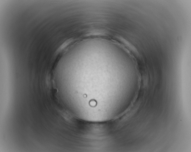 X0000113871266200910011105