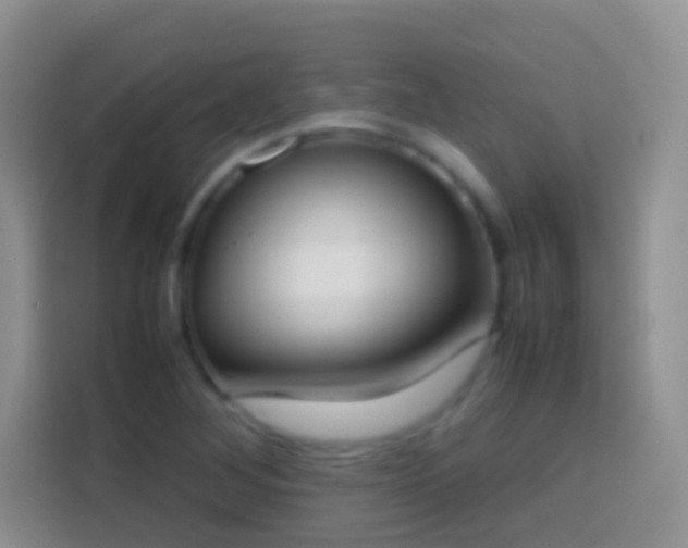 X0000113871268200910011105