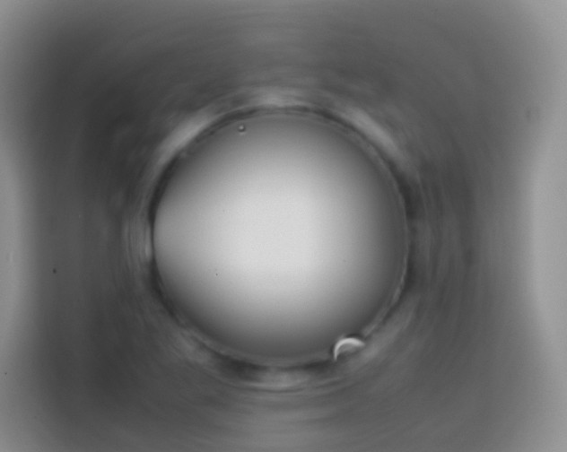 X0000113871269200910011105