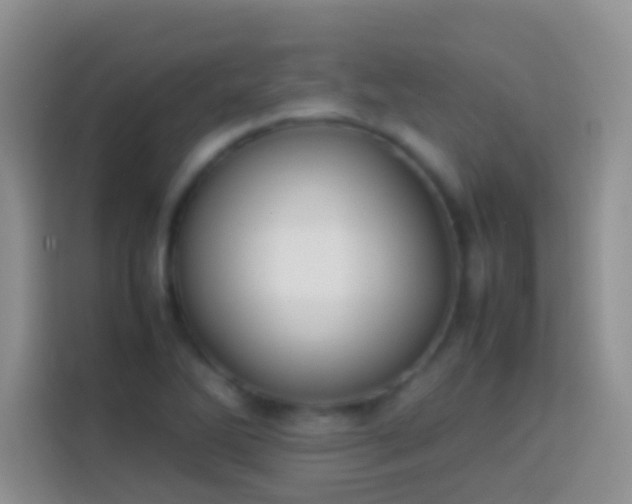 X0000113871270200910011105