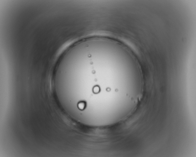 X0000113871271200910011105