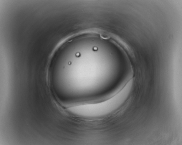 X0000113871272200910011105