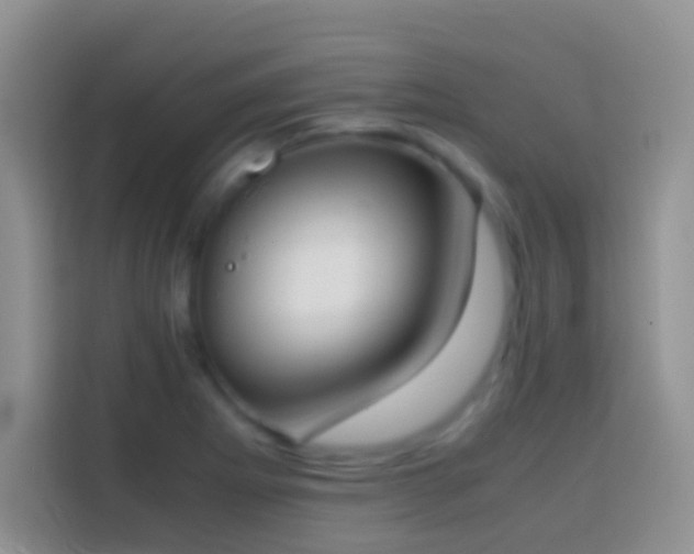 X0000113871273200910011105