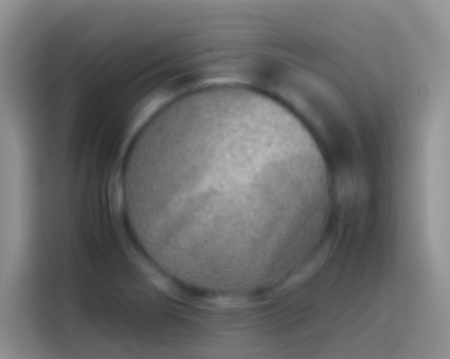 X0000113871274200910011105