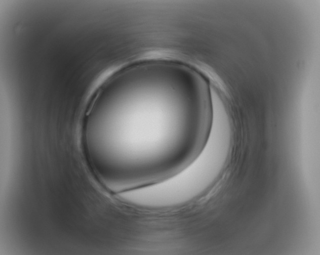 X0000113871277200910011105