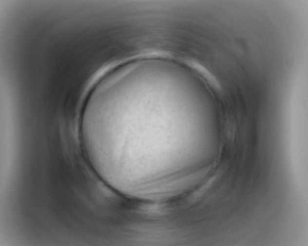 X0000113871278200910011105