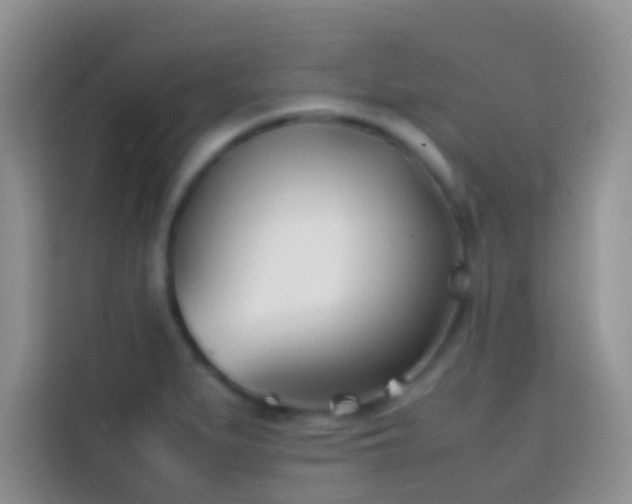 X0000113871279200910011105