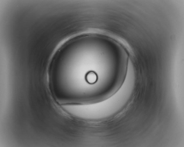 X0000113871280200910011105