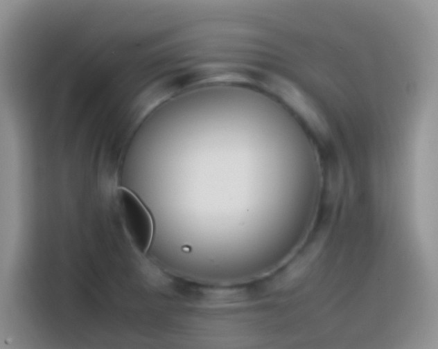 X0000113871281200910011105